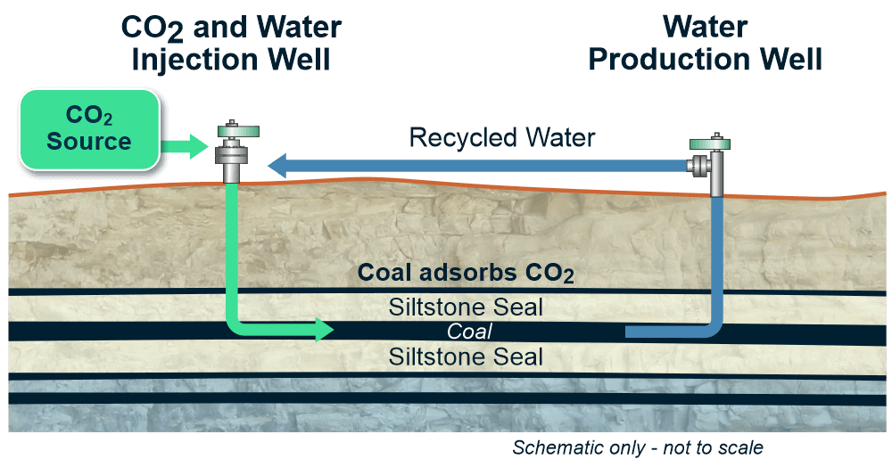 Carbon Vault 2_Coal